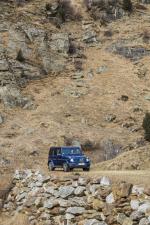 Mercedes-Benz G350 d 2019 года (WW)